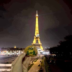 paris eiffel tower woodgate rock