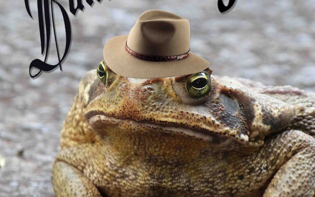 toad bundaberg poem in the style of Banjo Patterson