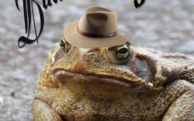 In Bundaberg, The Government Knew Best