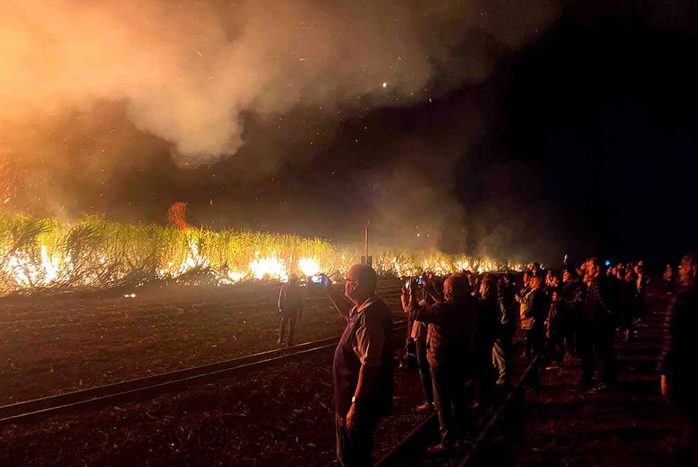Sugar Cane fires in Childers at the Childers Festival