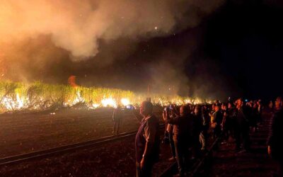 Were you at the Childer’s Festival?