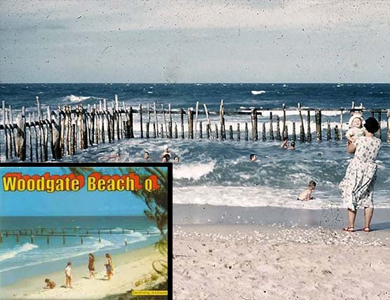 woodgate beach swimming enclosure safe for swimming chitchat newspaper