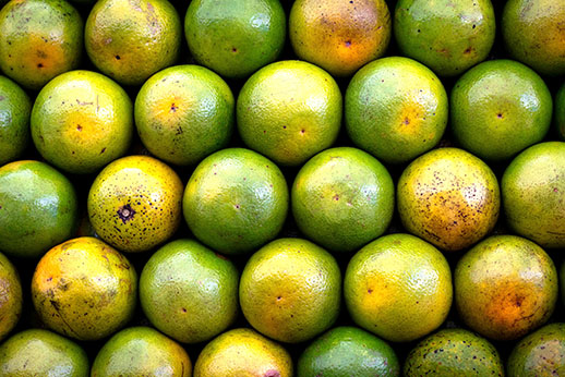 the secret life of fruit bundaberg childers newspaper lemons are rescued