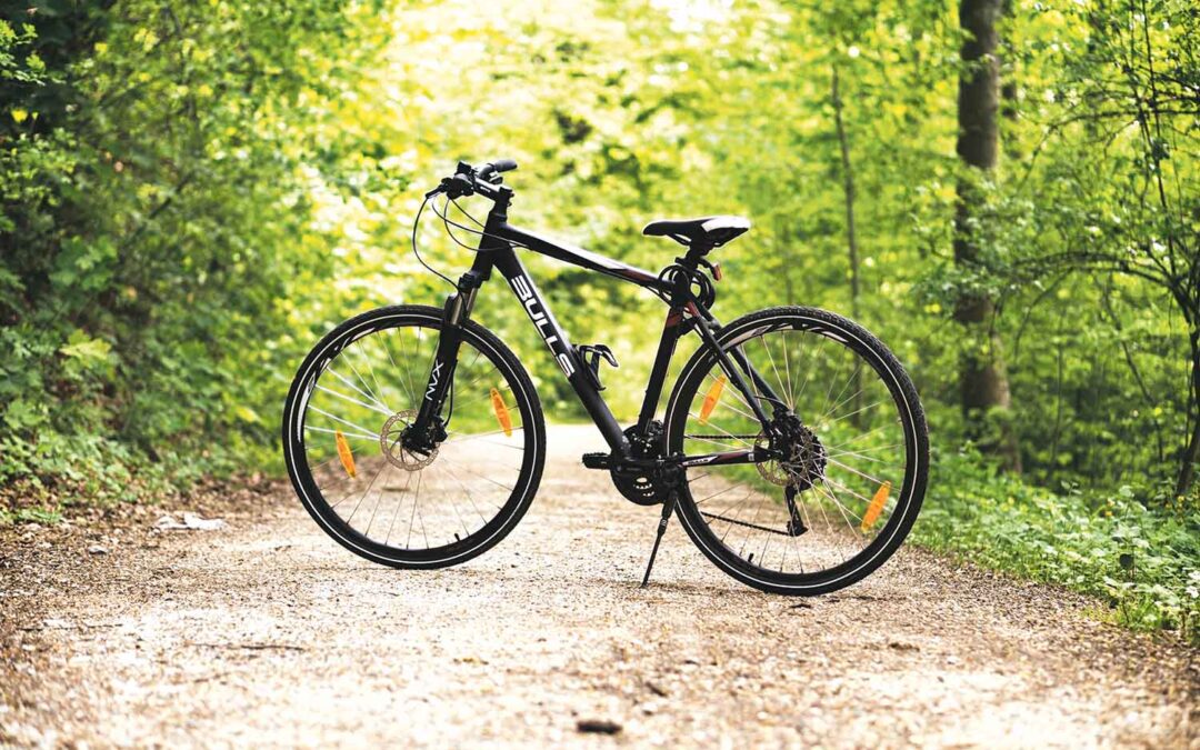 PEDAL POWER and PEACE: Promisedland Trails in Cordalba Offer More Than Just a Ride