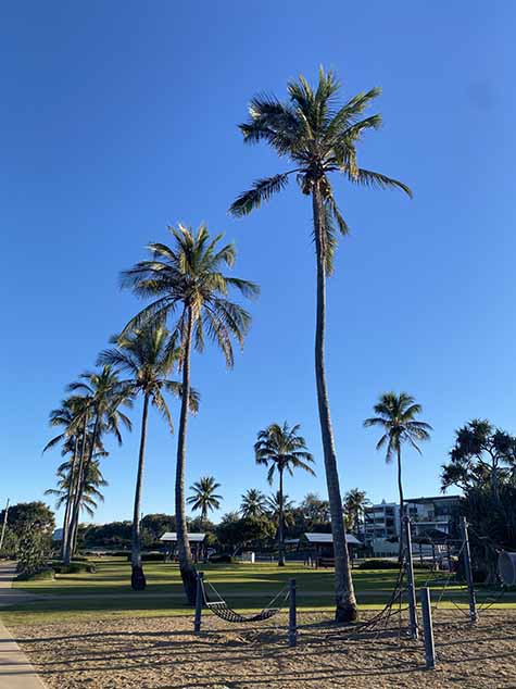 COCONUT CURE: ESCAPING THE WINTER BLUES IN BUNDABERG