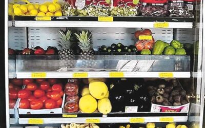 Business Spotlight: Farm Shed Fruit Stall