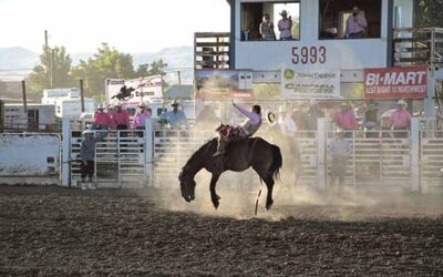 RODEO: Where Legends Buck and Heroes Hang On