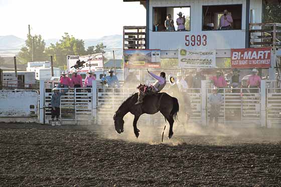 RODEO: Where Legends Buck and Heroes Hang On