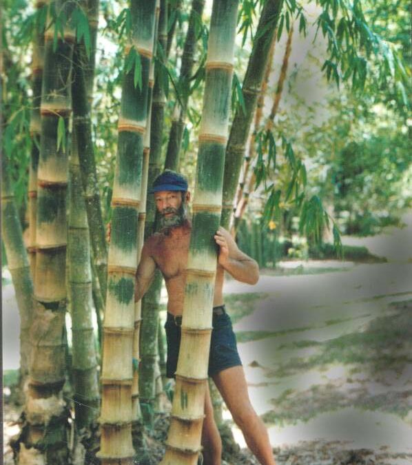 BUILT ON BAMBOO