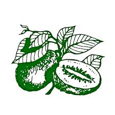 Daleys Fruit Tree Nursery mail order plants Bundaberg Childers region qld chitchat newspaper interview