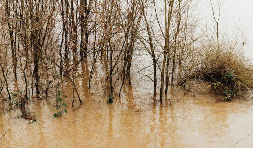 REFLECTTING ON THE FLOODS