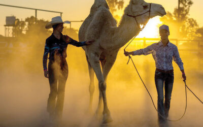 RUNNING ON HUMP POWER NOT HORSE POWER