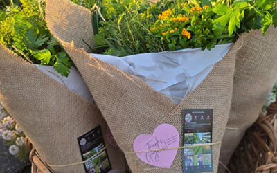 FORGET FLOWERS, SEND HERBS
