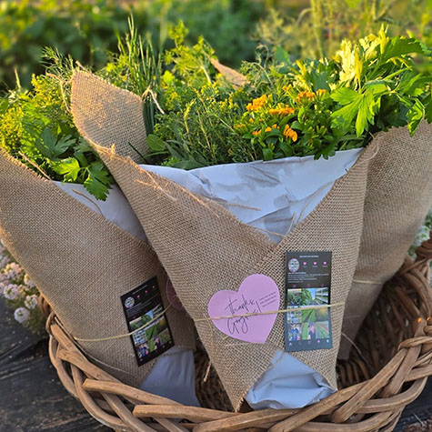 Giles Herbs QLD Pty Ltd is a family-owned and operated herb farm located in Bundaberg, Queensland - Amanda and Chris Giles - Herb Farm - gift pack of wrapped herbs