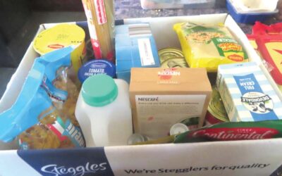 LITTLE FREE COMMUNITY PANTRY