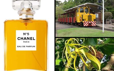 ALL ABOARD FOR CHANEL NO. 5
