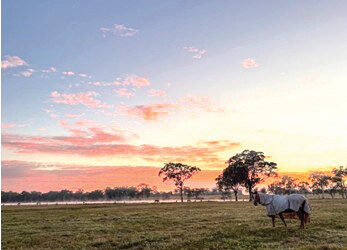 DUST OFF THE AKUBRA AND ROLL OUT THE SWAG