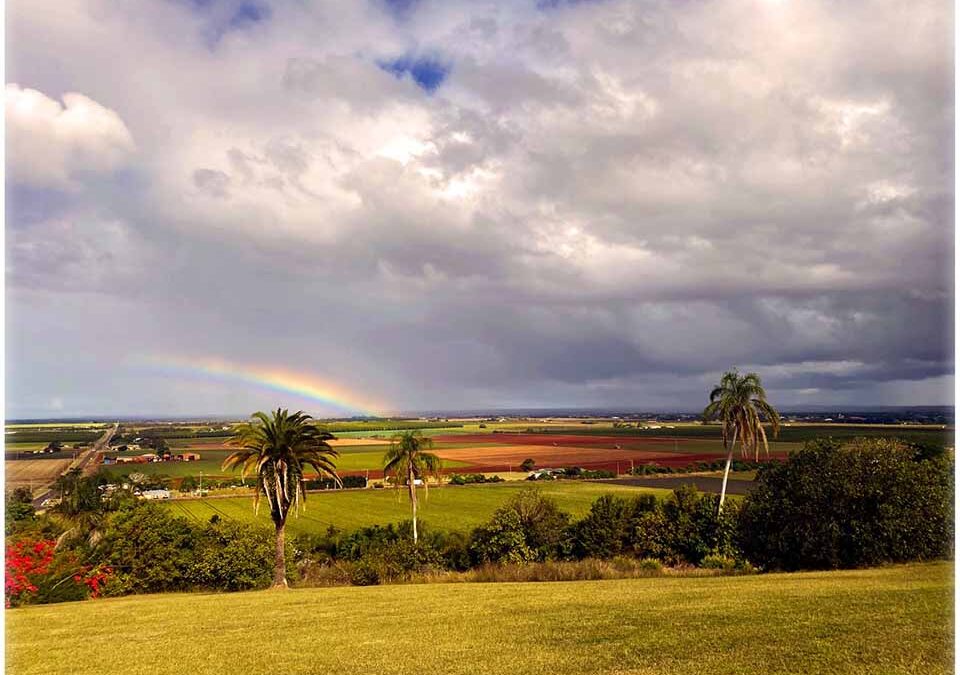 Hummock Lookout Bundaberg Rainbow over farmland